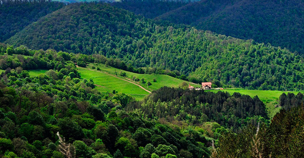 3. Dilijan